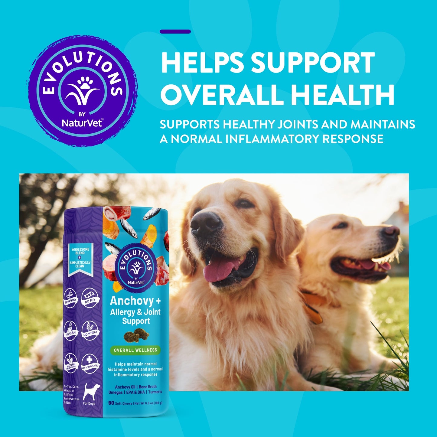 NaturVet Evolutions Anchovy + Allergy & Joint Support Soft Chews for Dogs