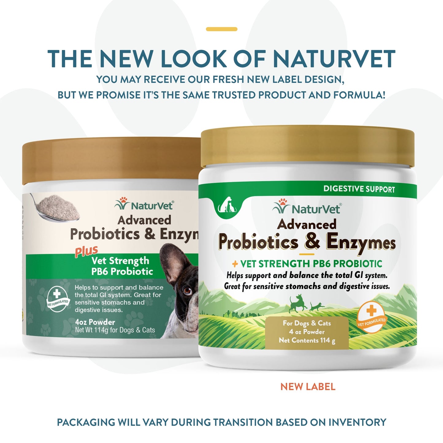 NaturVet Advanced Probiotic & Enzymes Powder for Dogs and Cats