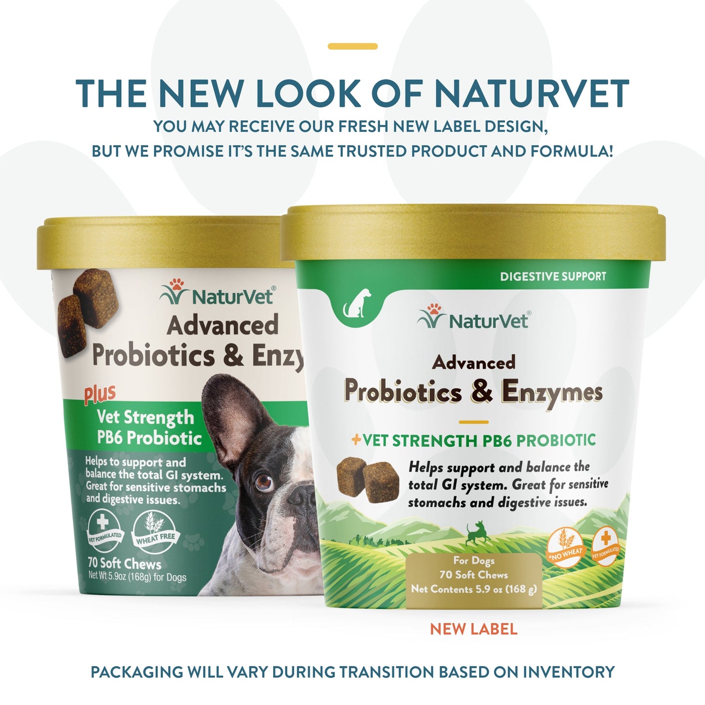 NaturVet Advanced Probiotics and Enzymes Supplement Dog Soft Chews