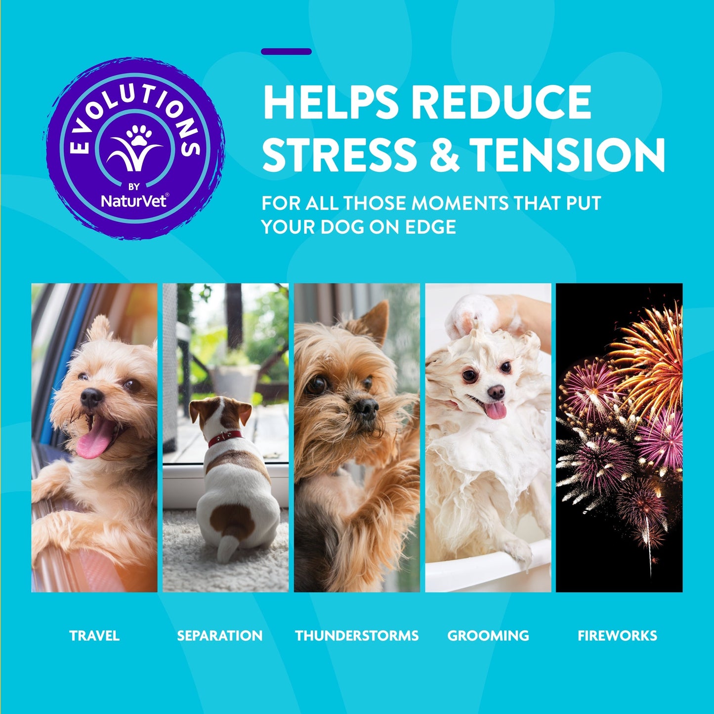 NaturVet Evolutions Advanced Calming Soft Chews for Dogs